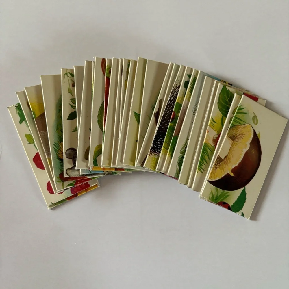 Nathan Forest Domino Puzzle Vintage Nature Animal Matching Kids Learning Toy